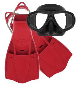 Dive Gear Express Flippers and Mask