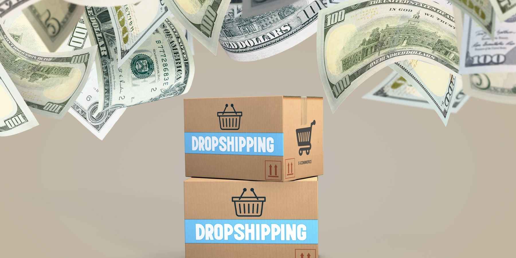 ecommerce drop shipping dollars